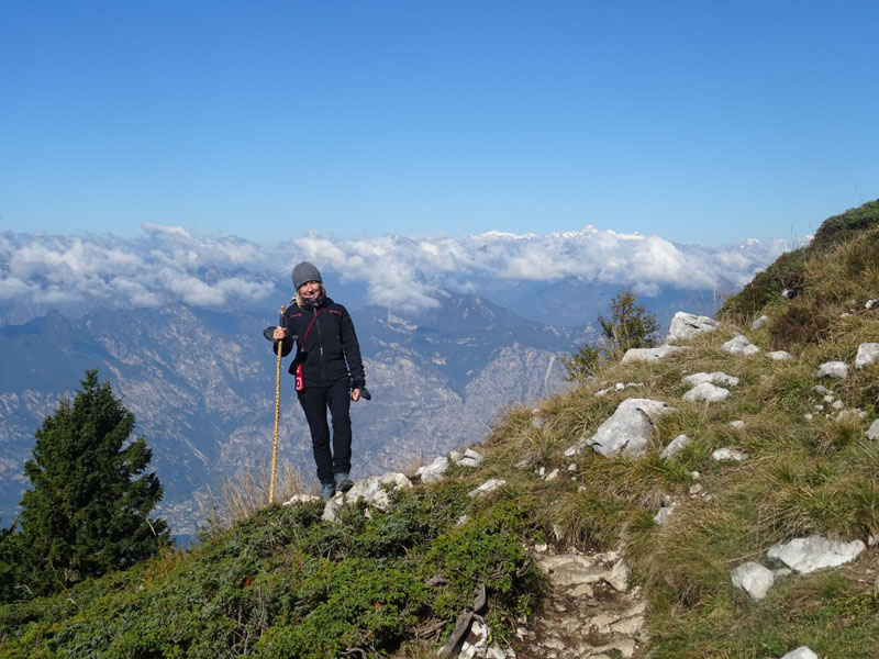 Cima delle Pozzette  m.2132 - Gruppo del Monte Baldo (VR)